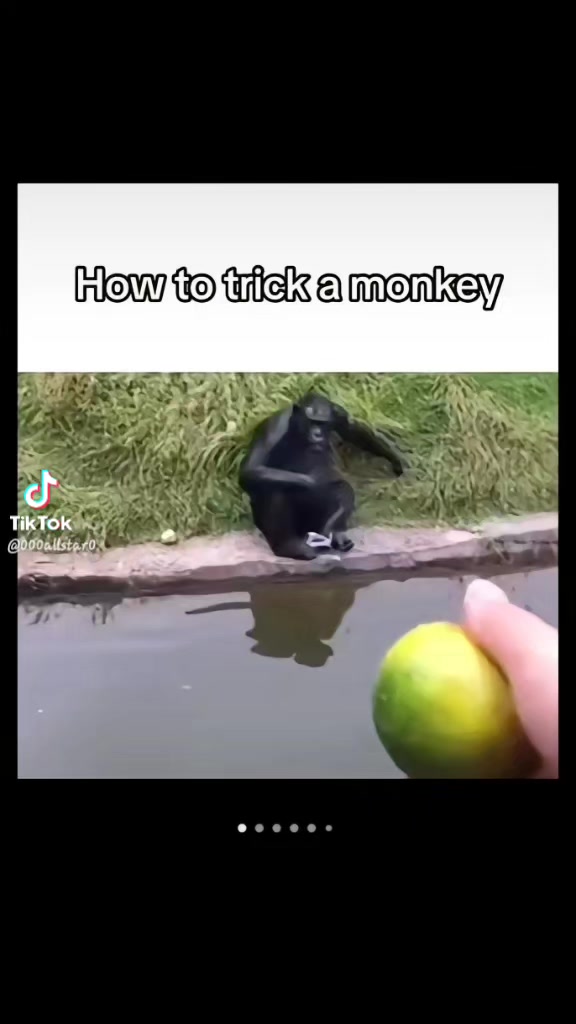 @Chef Man