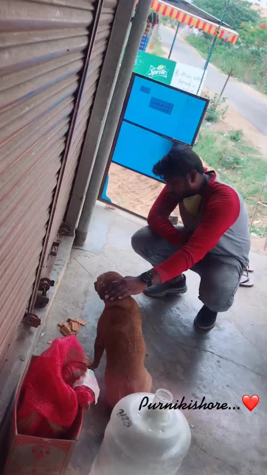 @PurniKishoreReddy