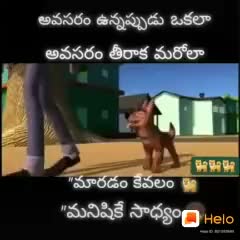 @yadav