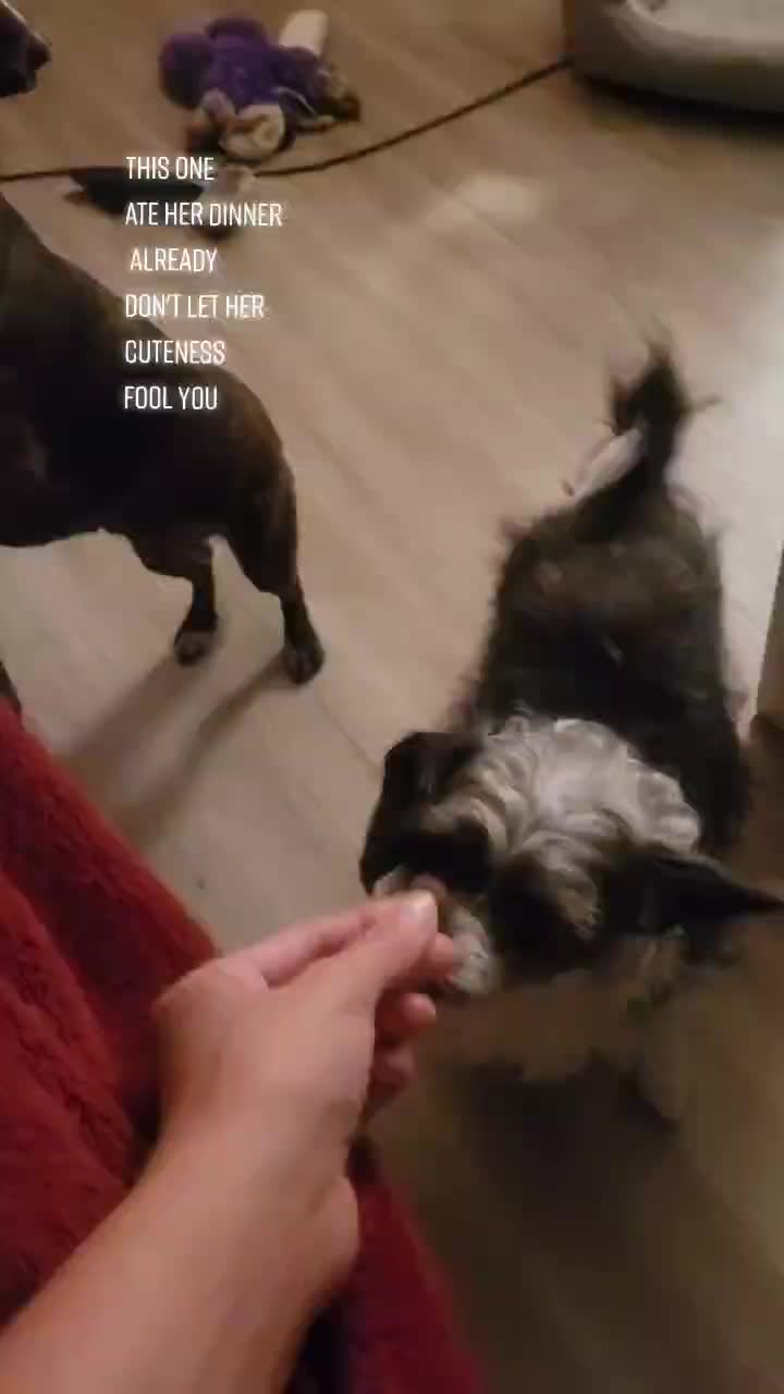 @DarthReggie