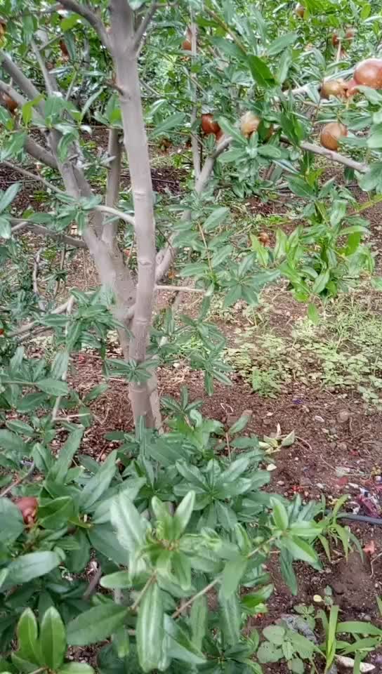 @alluarun 😎