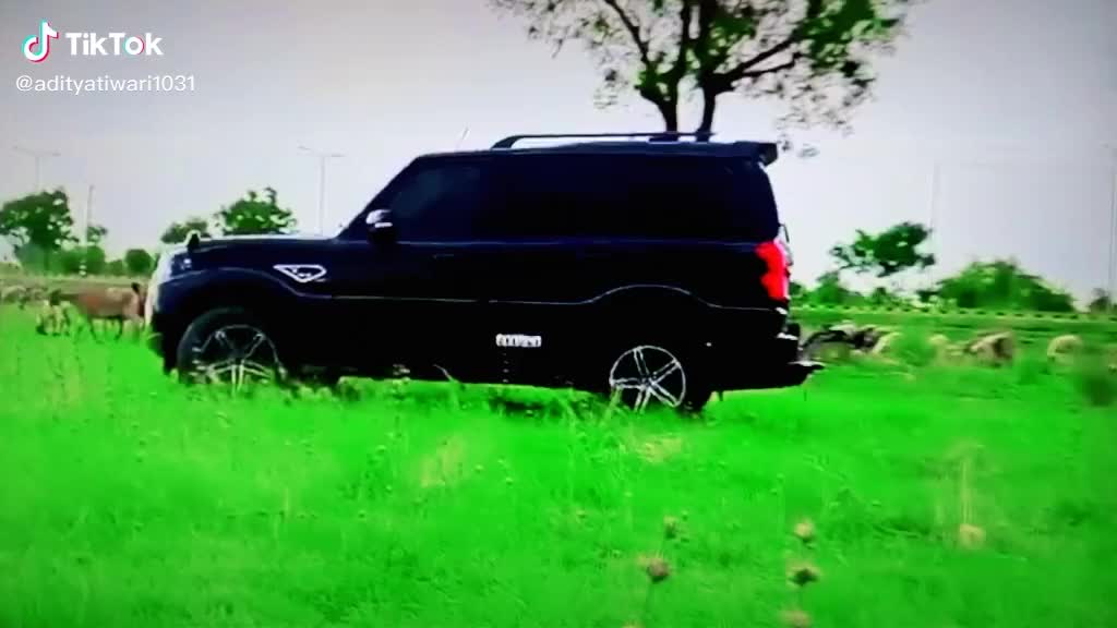 @GUJJARbrand6789