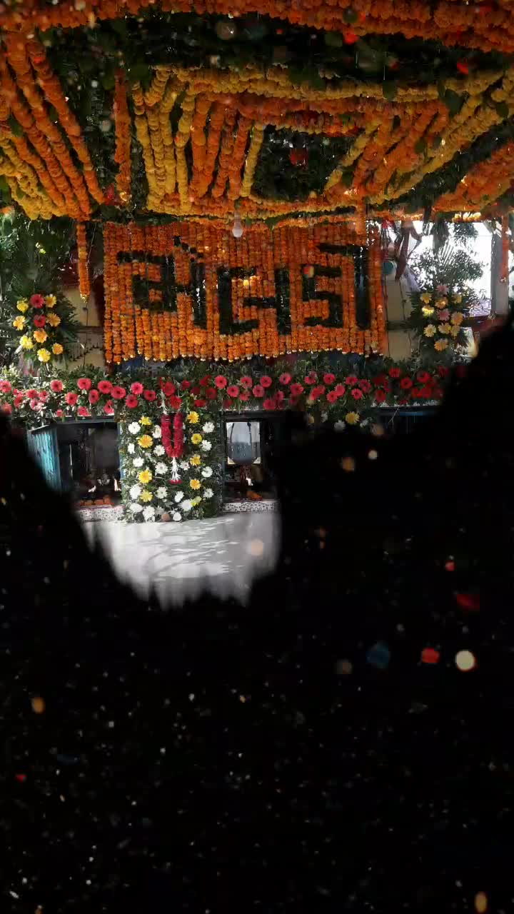 @alpesh rathod