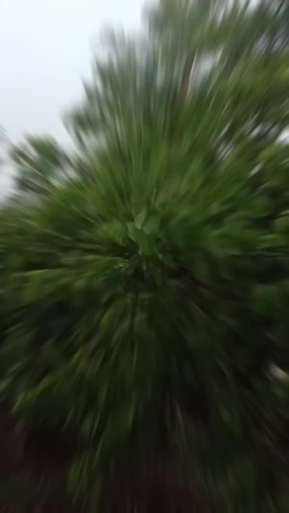 @🤙__Raj__🤙