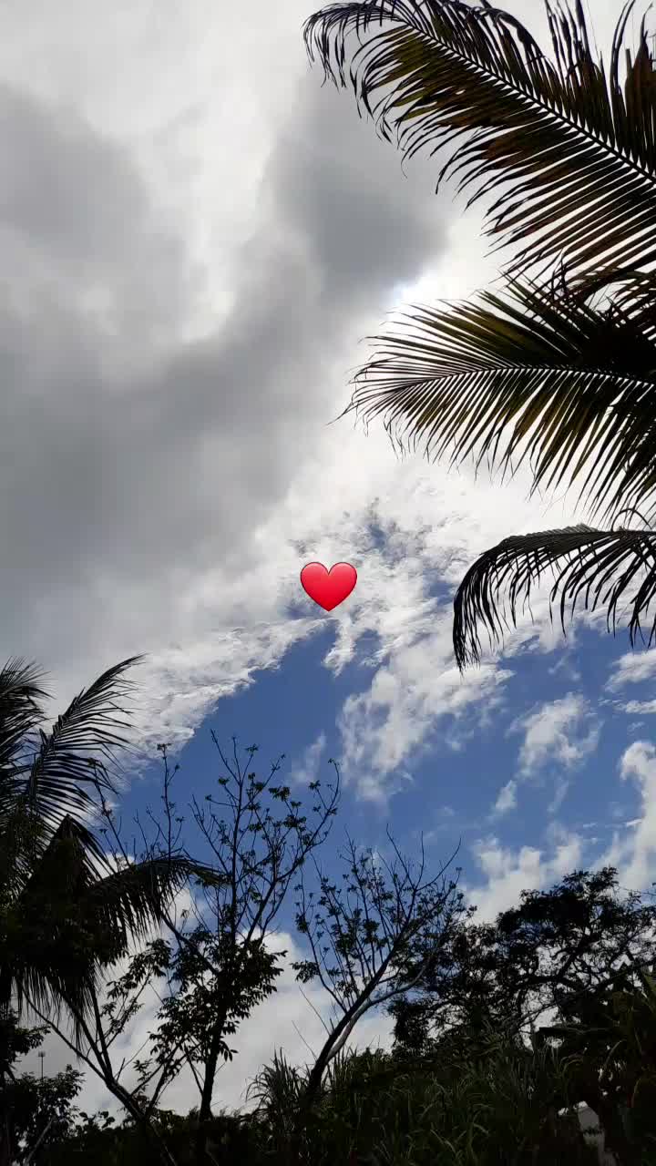 @❤️&zwj;🩹