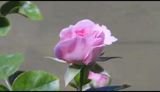 @Latha P