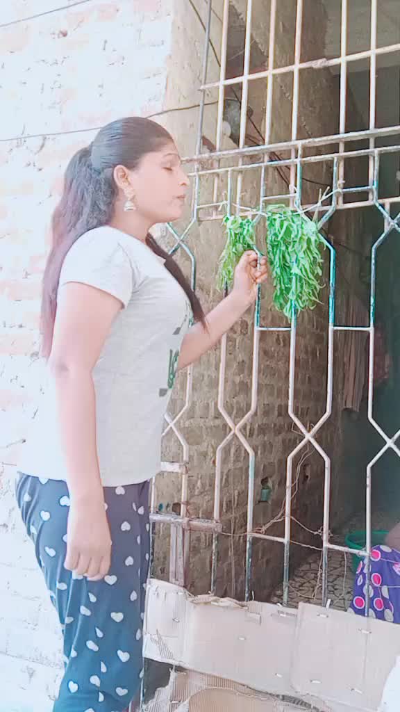 @divishiny