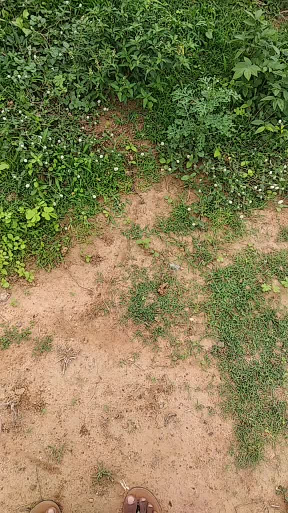 @Poloju Ajaykumar