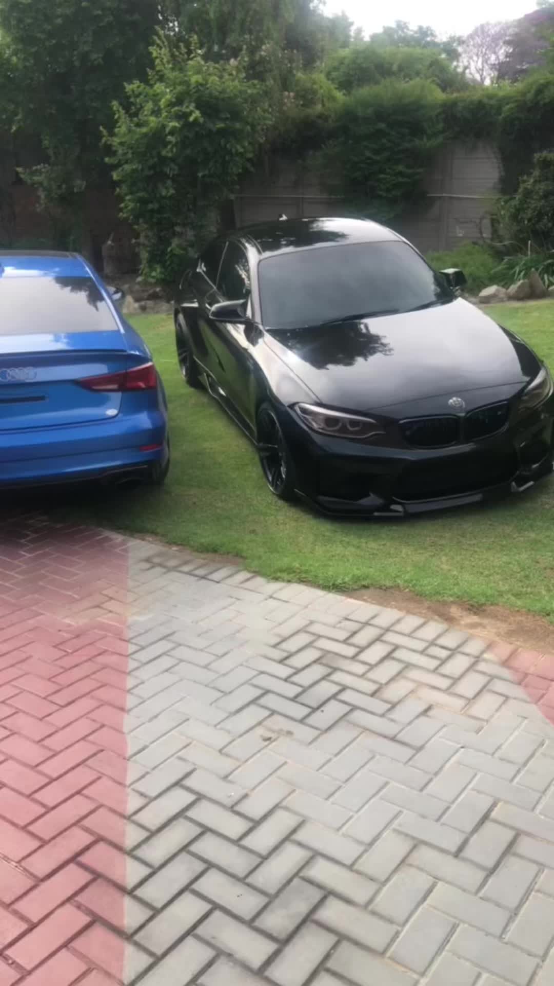 @Dark Stallion