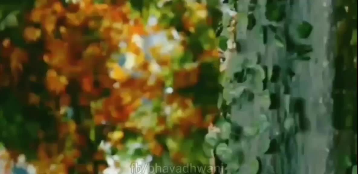 @Indhu Aradhya