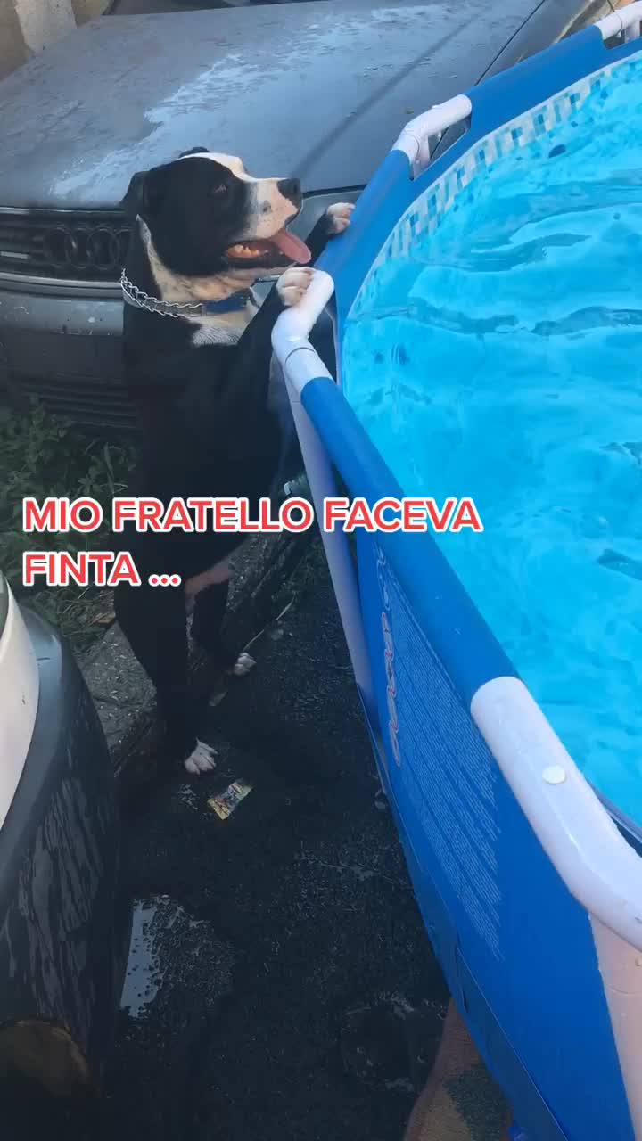 @MyNameIsFlorin
