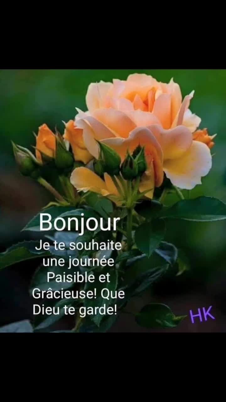 @💕Lumière✨divine💕