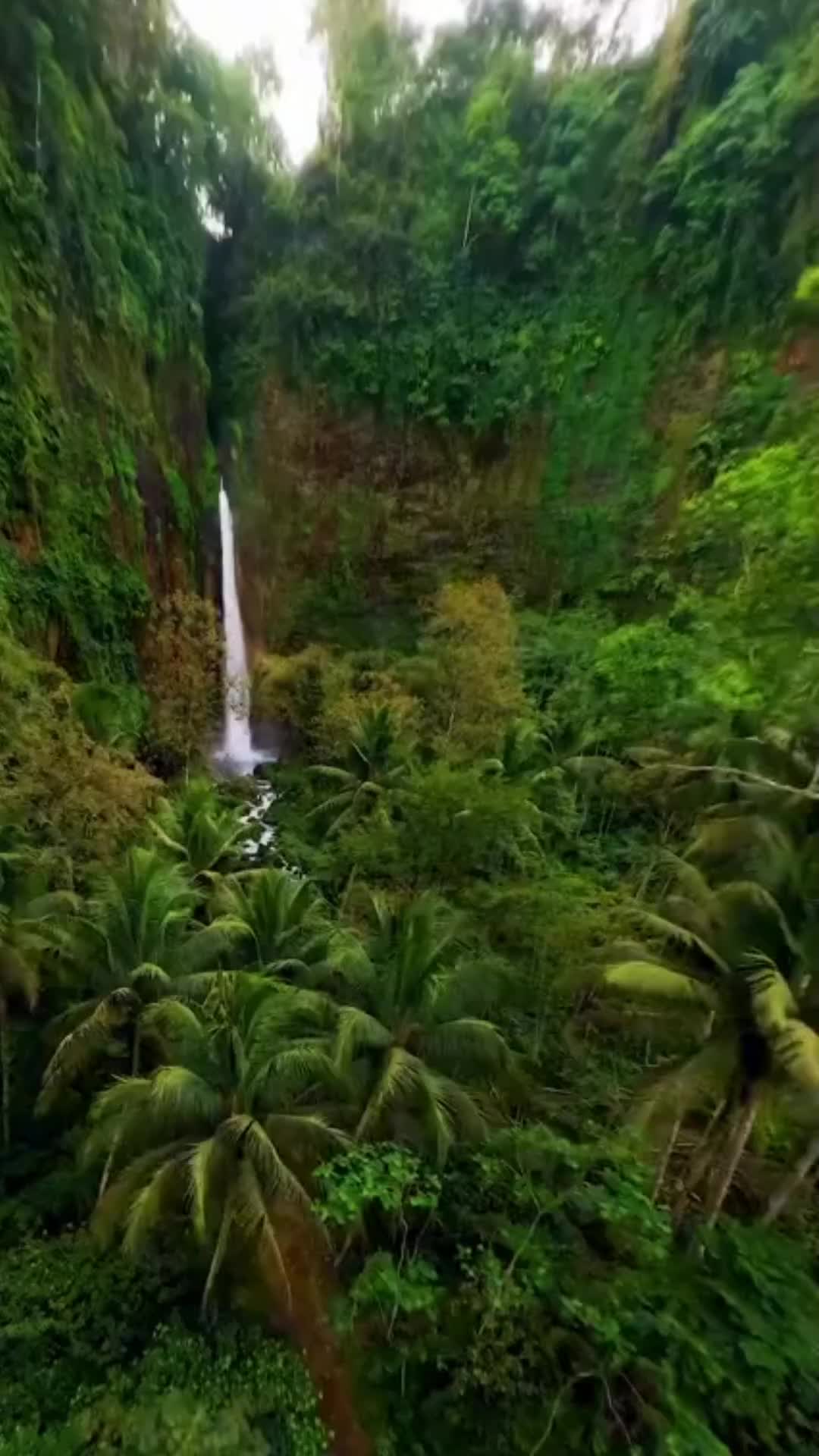 @puntano