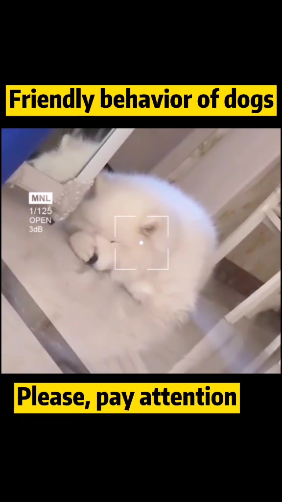 @Surprise animal