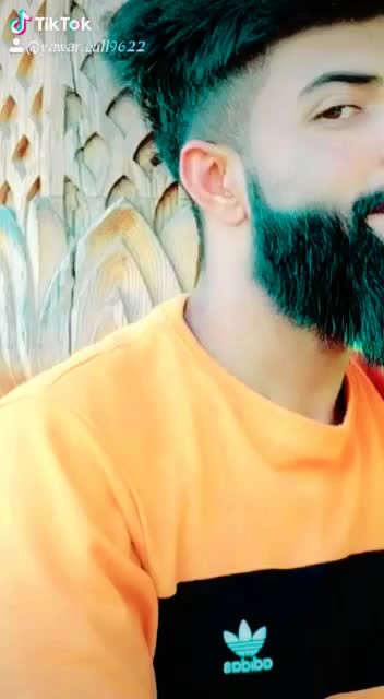 @yawar gull