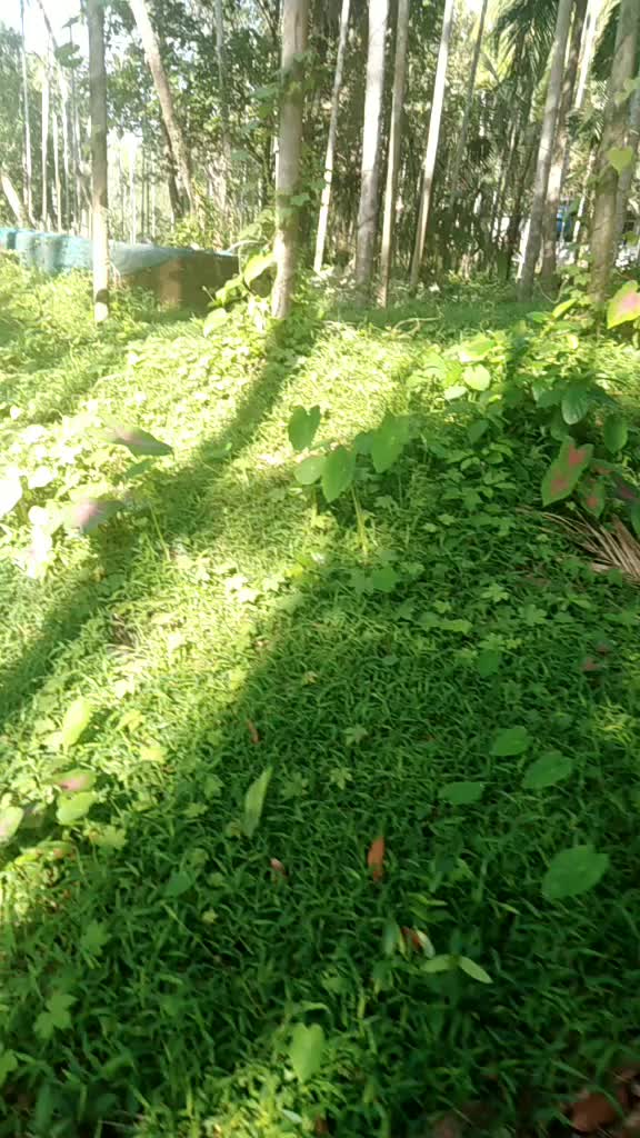 @user228900