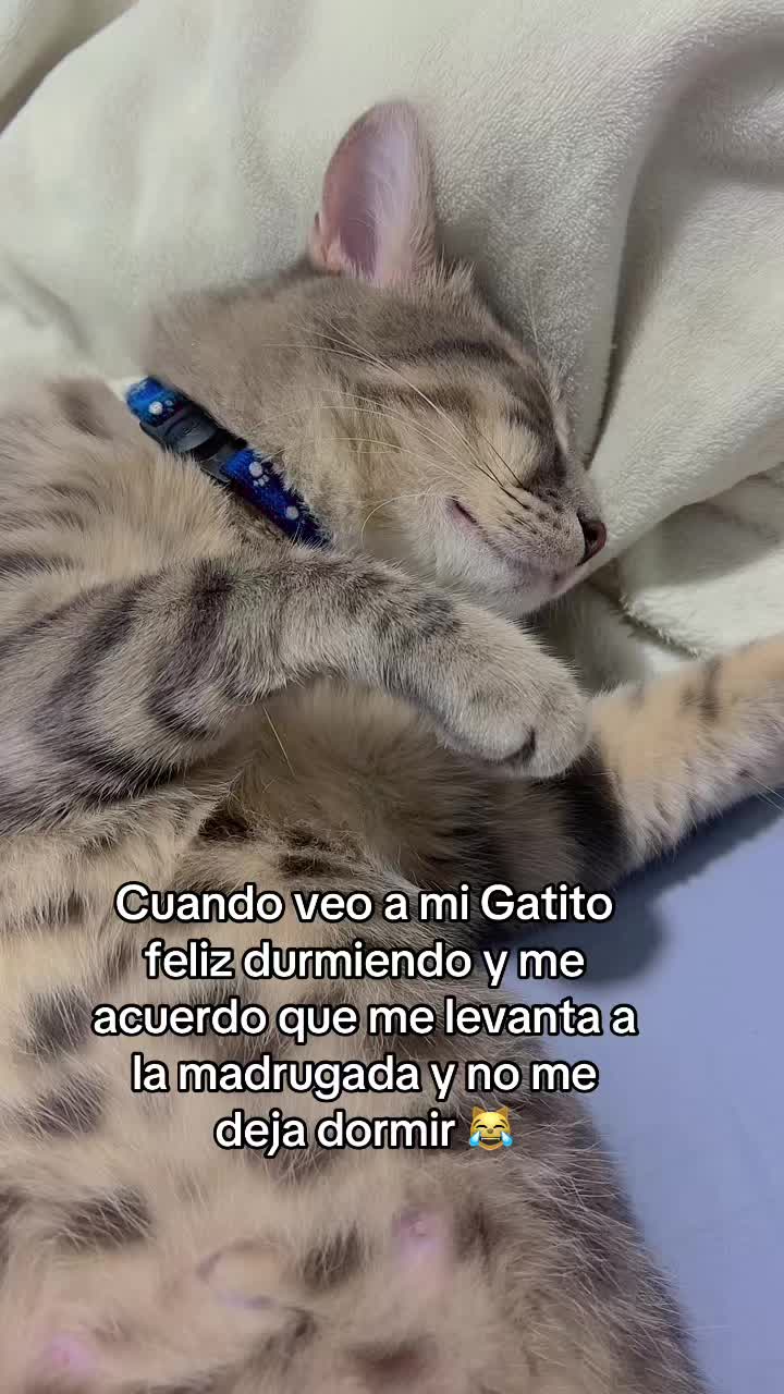 @ale_garciar0