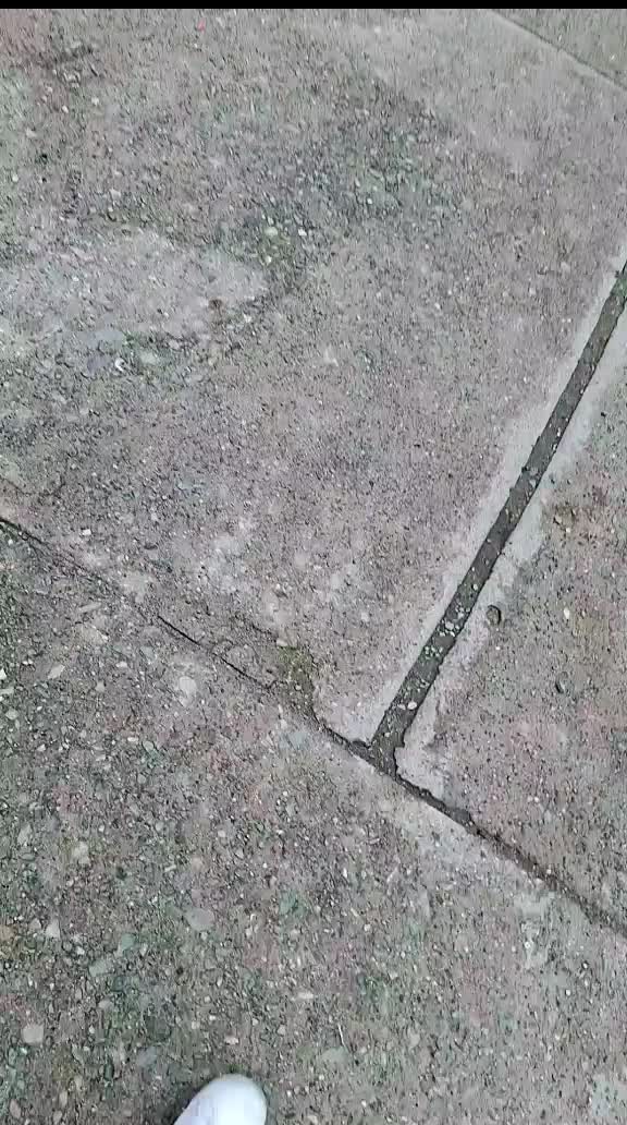 @nenis chaparrita