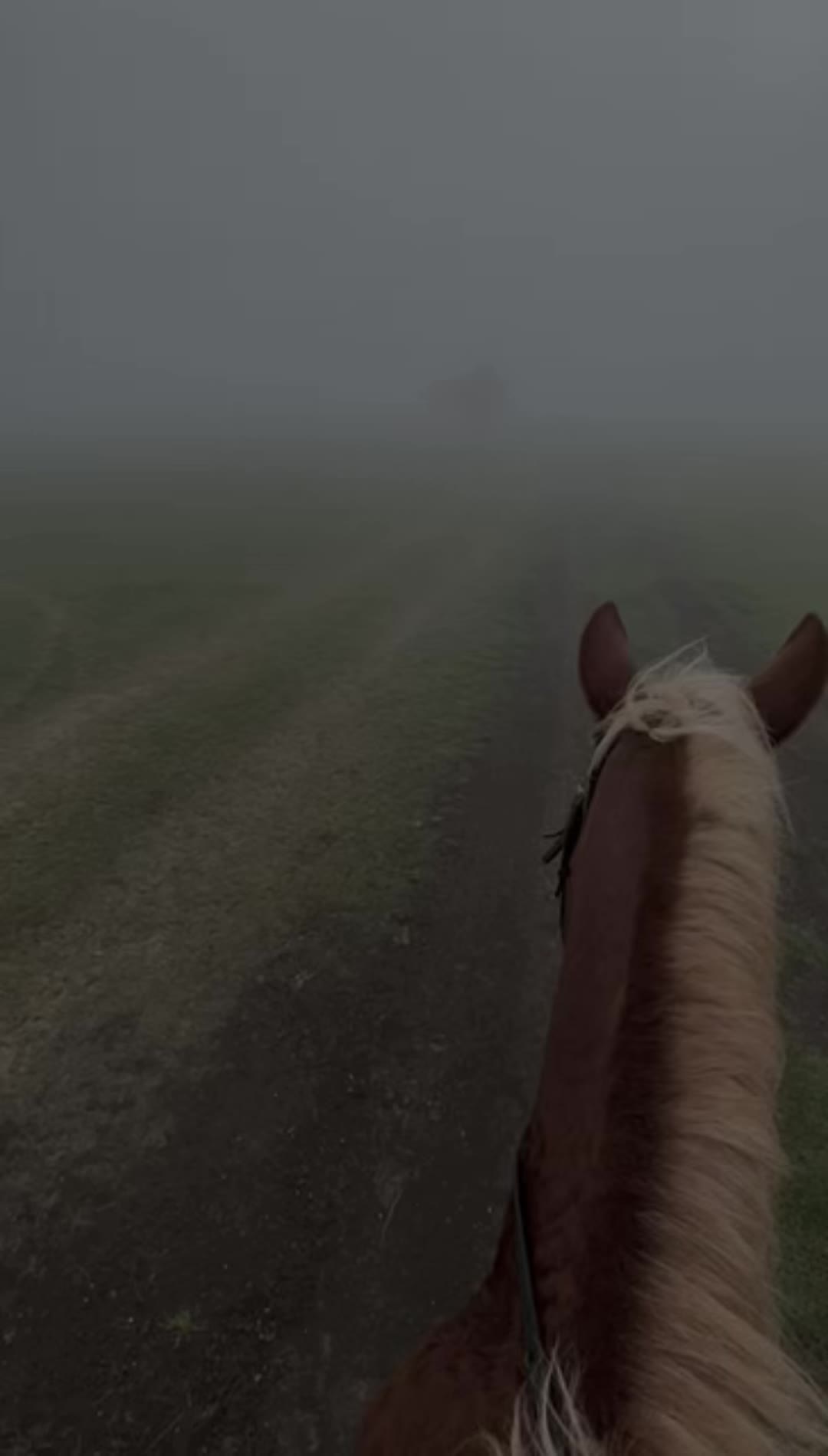 @🐎Ridning🐎 {3,8K}