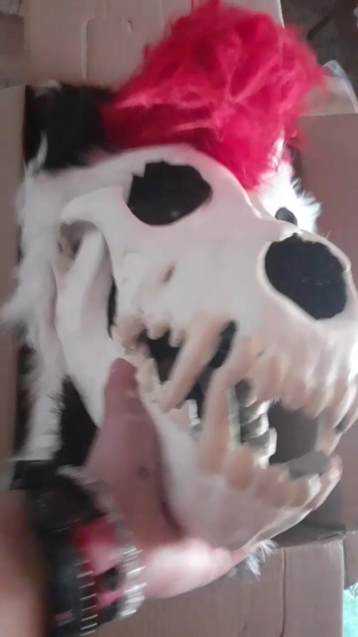 @Shysako.Fur