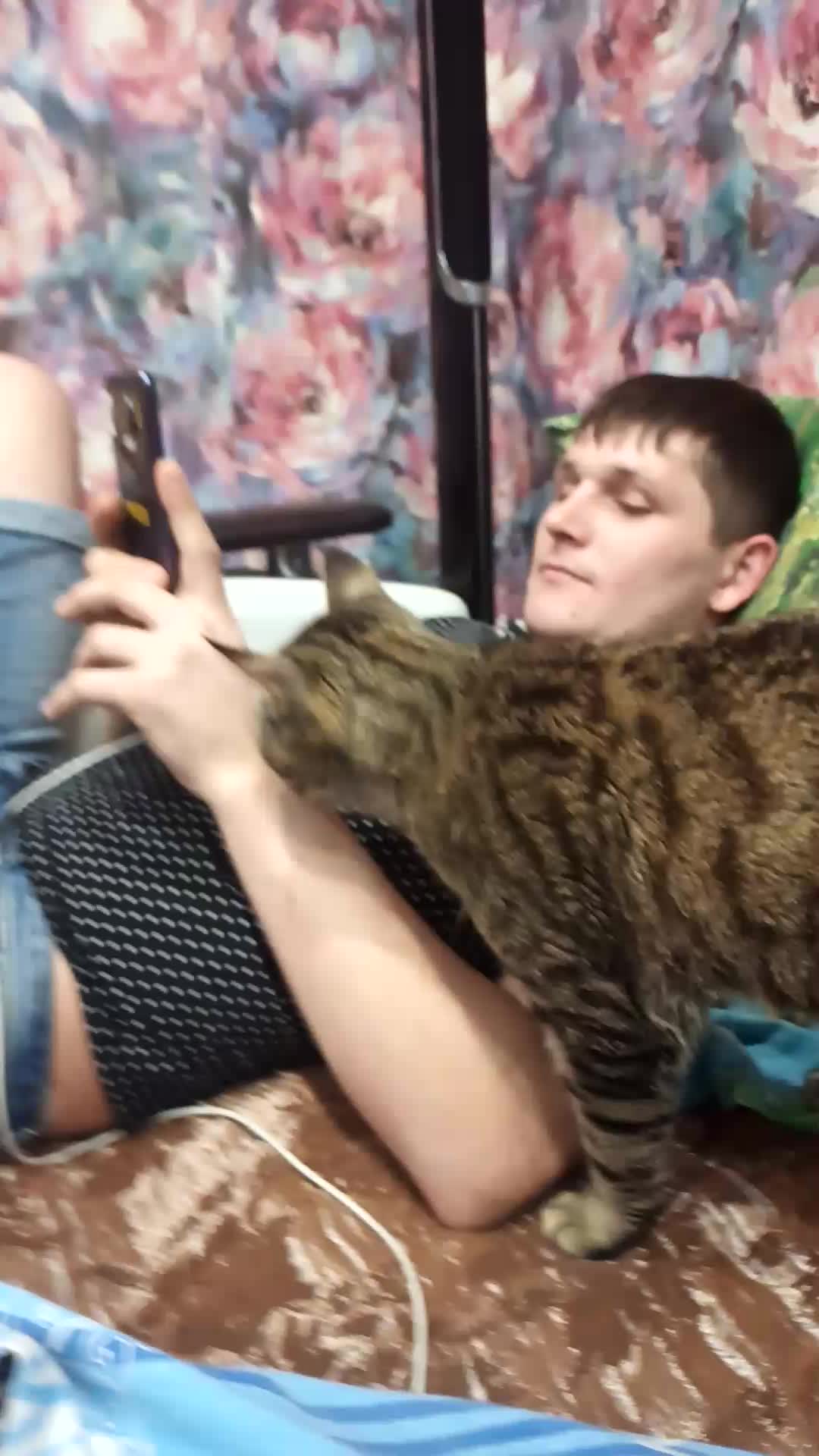 @Анастасия Вялова