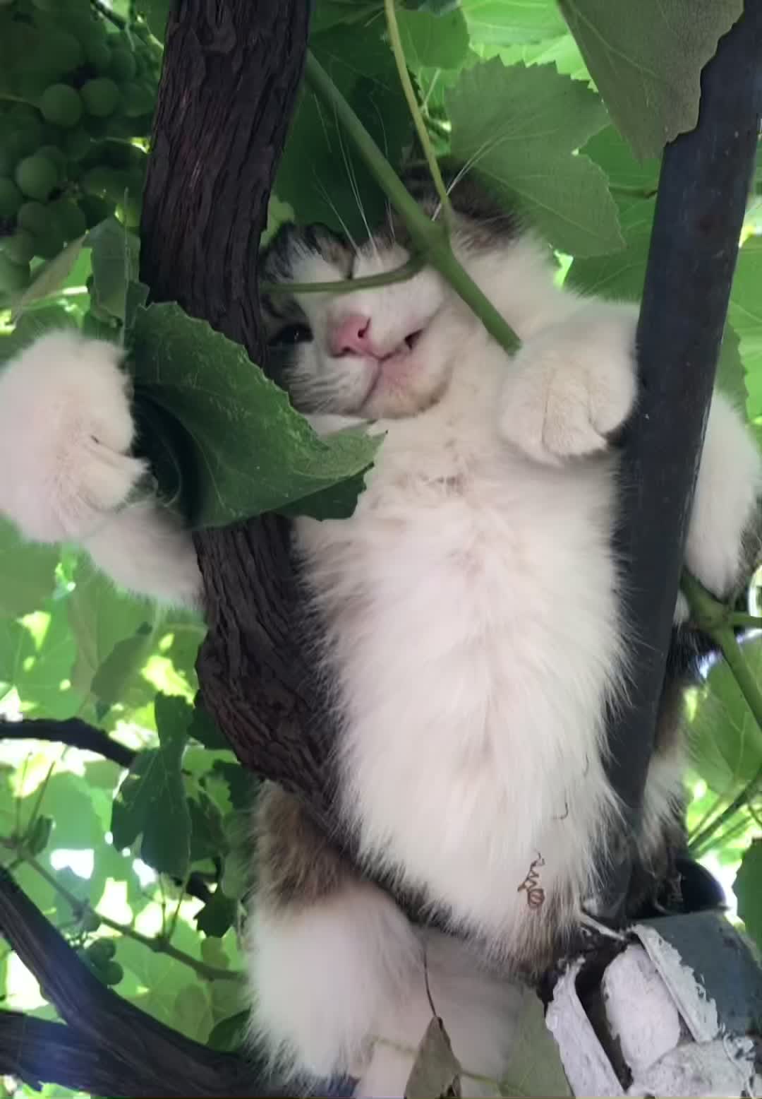 @Артём