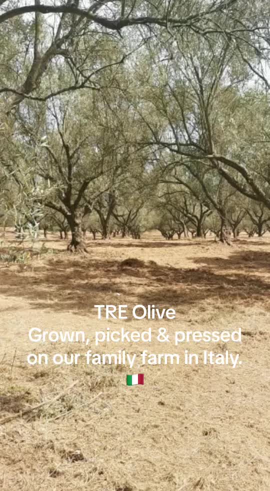 @TRE Olive