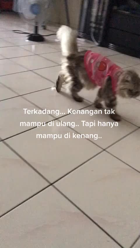 @Liyana