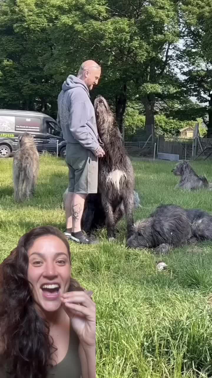 @Mv. Ana C. Werkema