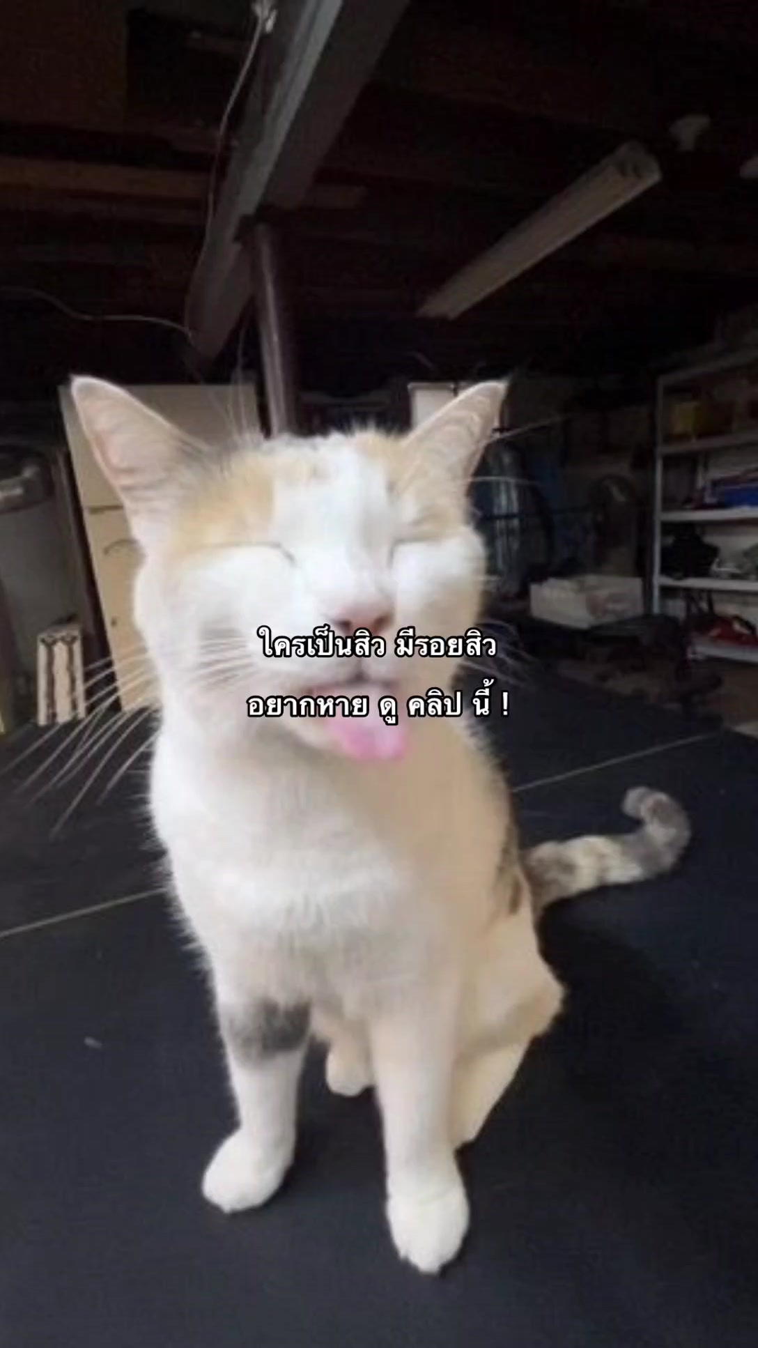 @🫐