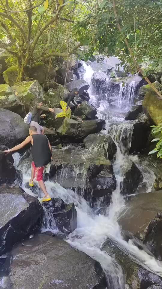 @rhizenhll137919