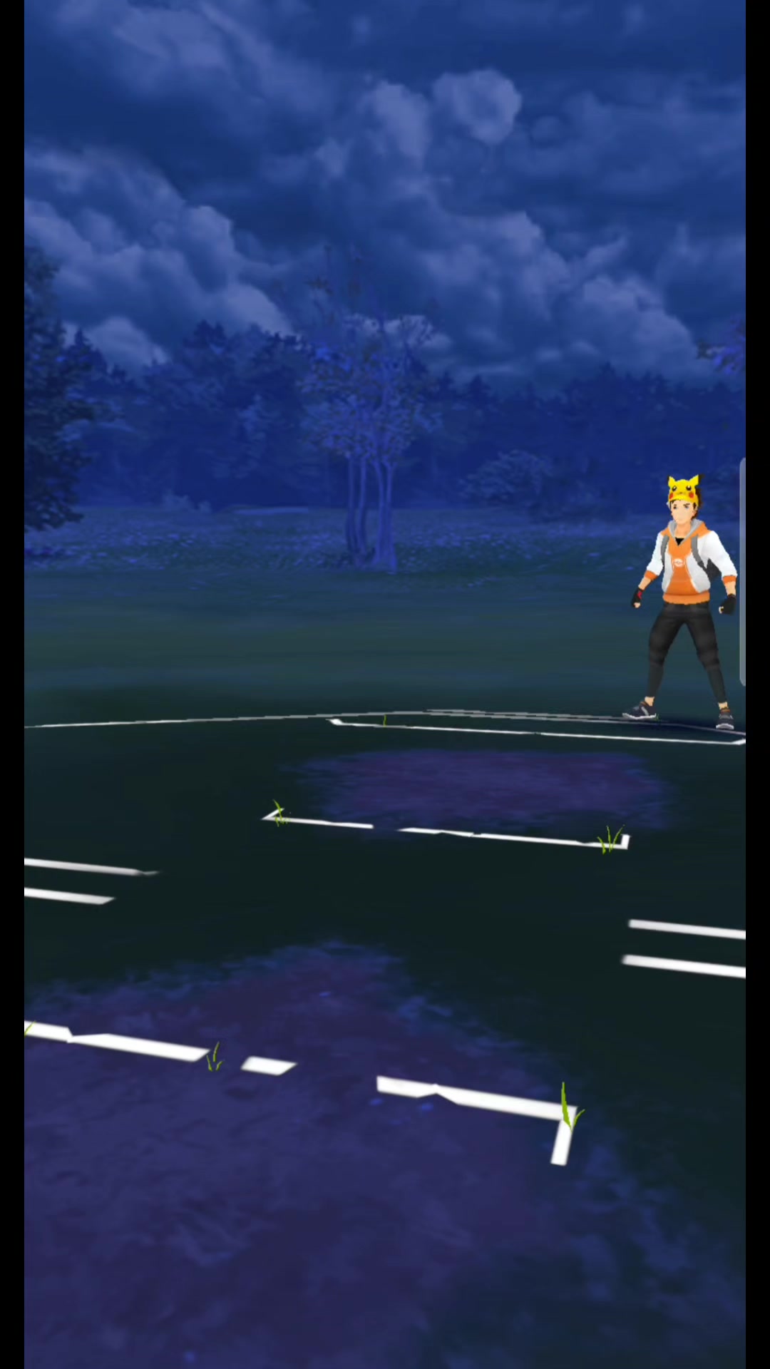 @Gengar_sweeping
