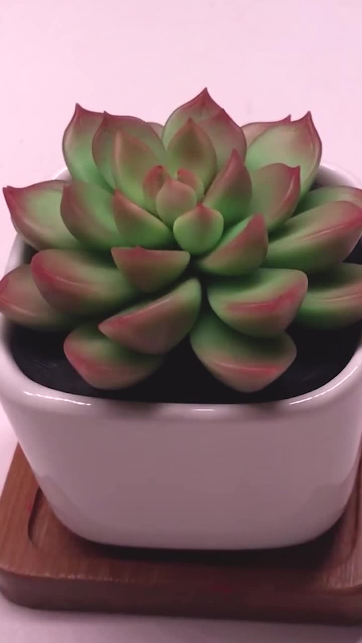 @Luckyowl66
