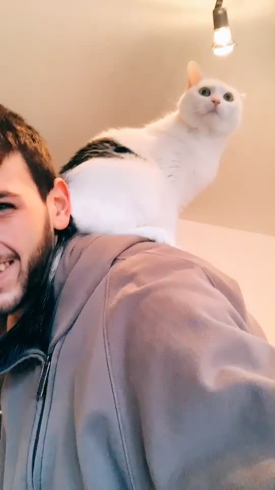 @johnny_fame_