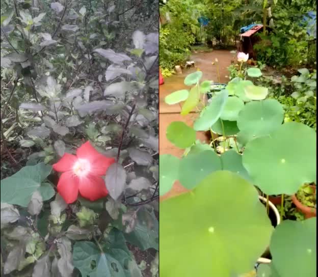 @Jyothish Kichu