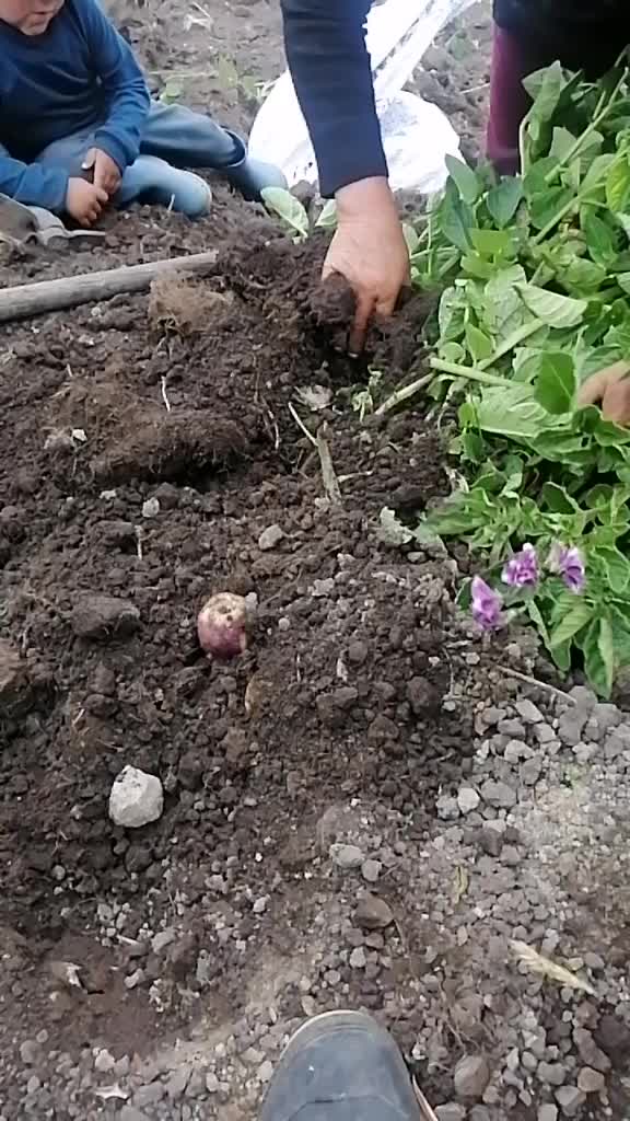 @SUKITA💝🌻🍂