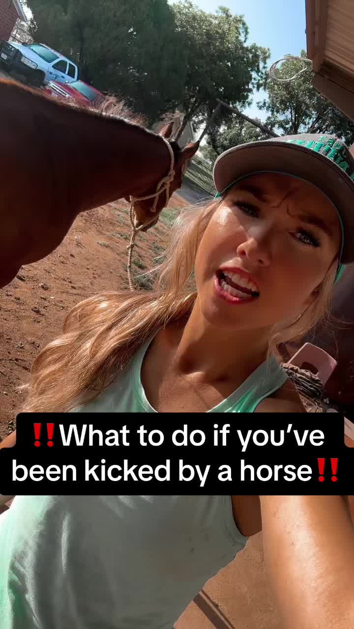 @Jorden Halvorsen