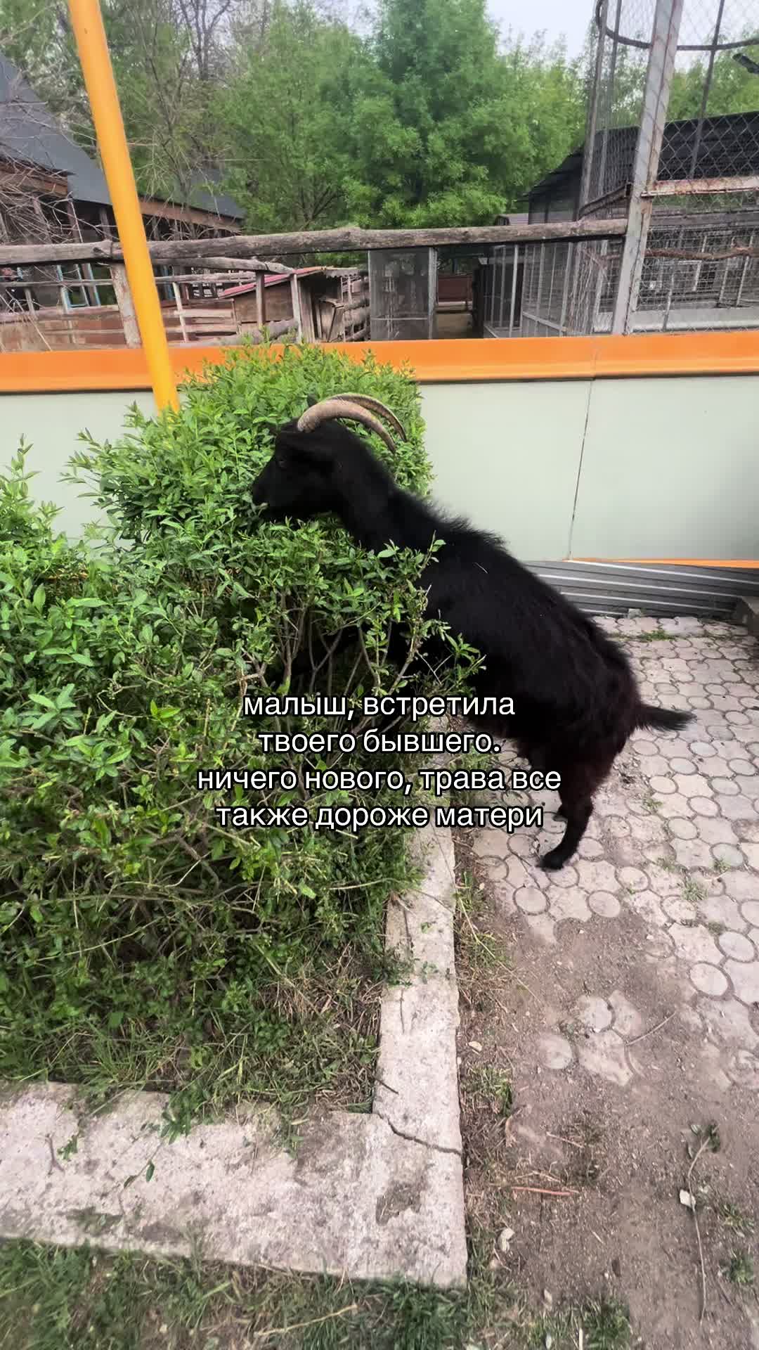 @тг: POLINAME