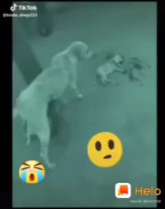 @Siddu Avaradi