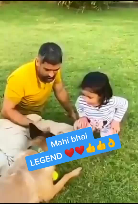 @only cricket lovers