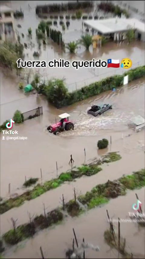 @♔Ａ҉ｎｇｅｌ ♻️ ₮ａｉｐｅ♚
