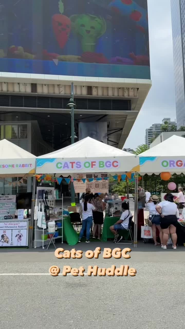 @Cats of BGC