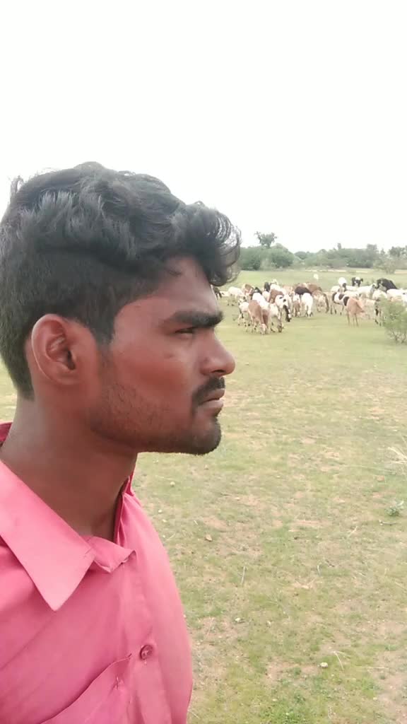 @user3090491047109