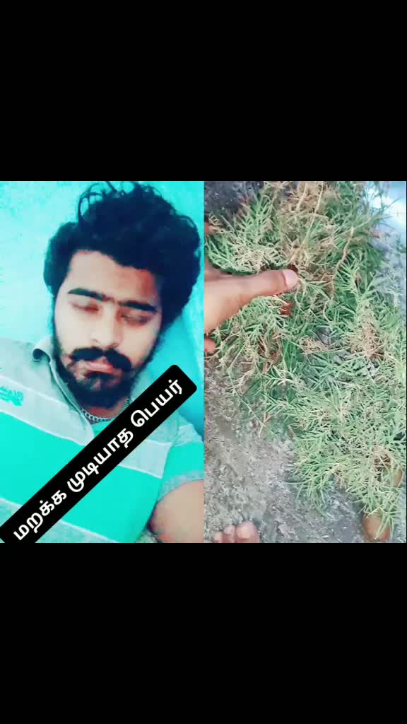 @தமிழன் பாரதி
