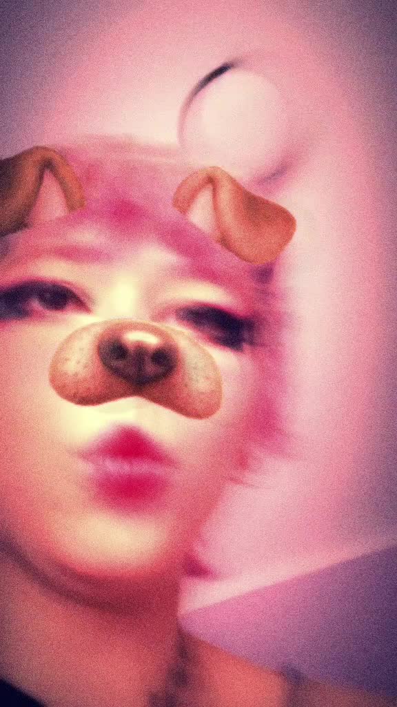 @the_last_meow
