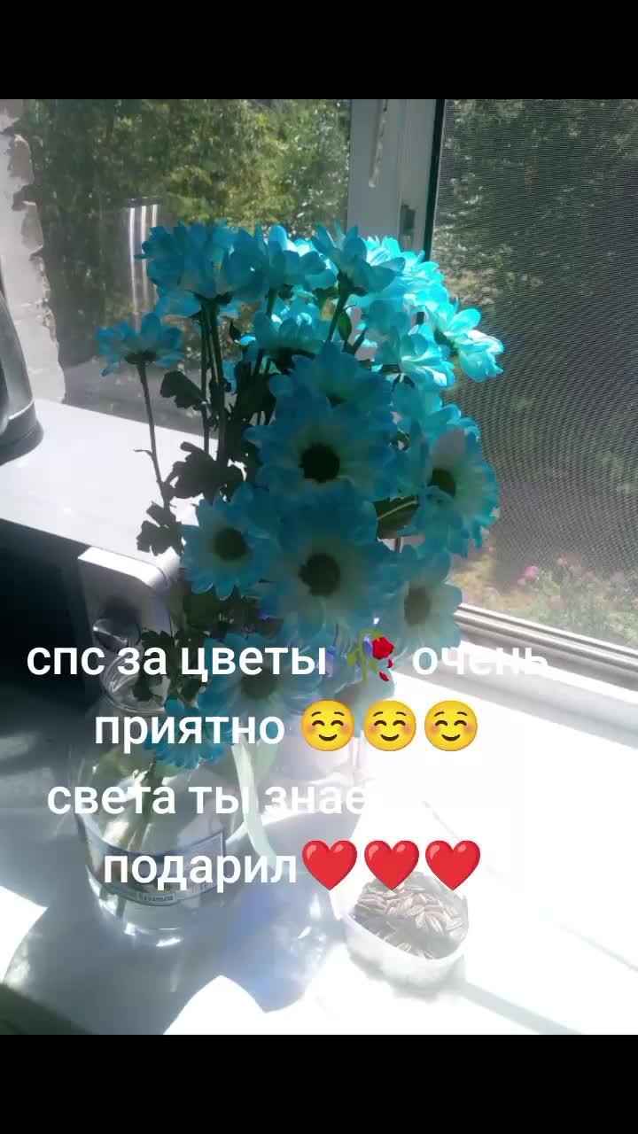 @ксения&hearts;️&hearts;️🥺🥺