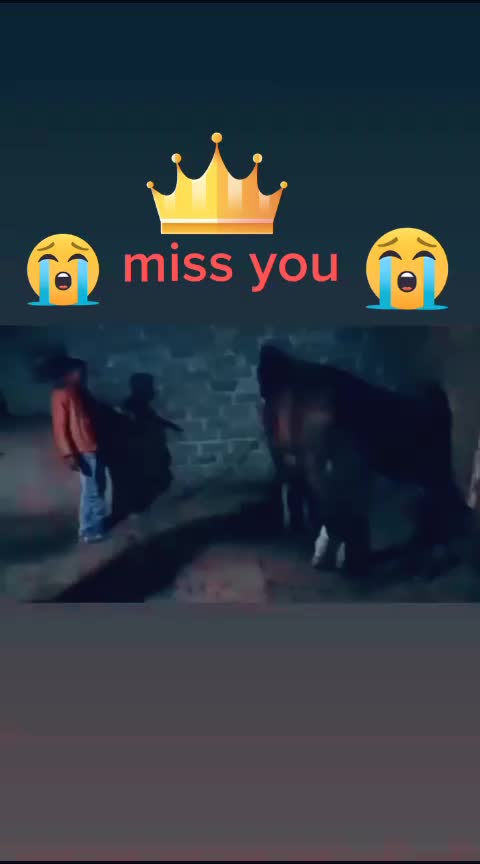 @🐎Mr ભોજાવદર વાળા🐎