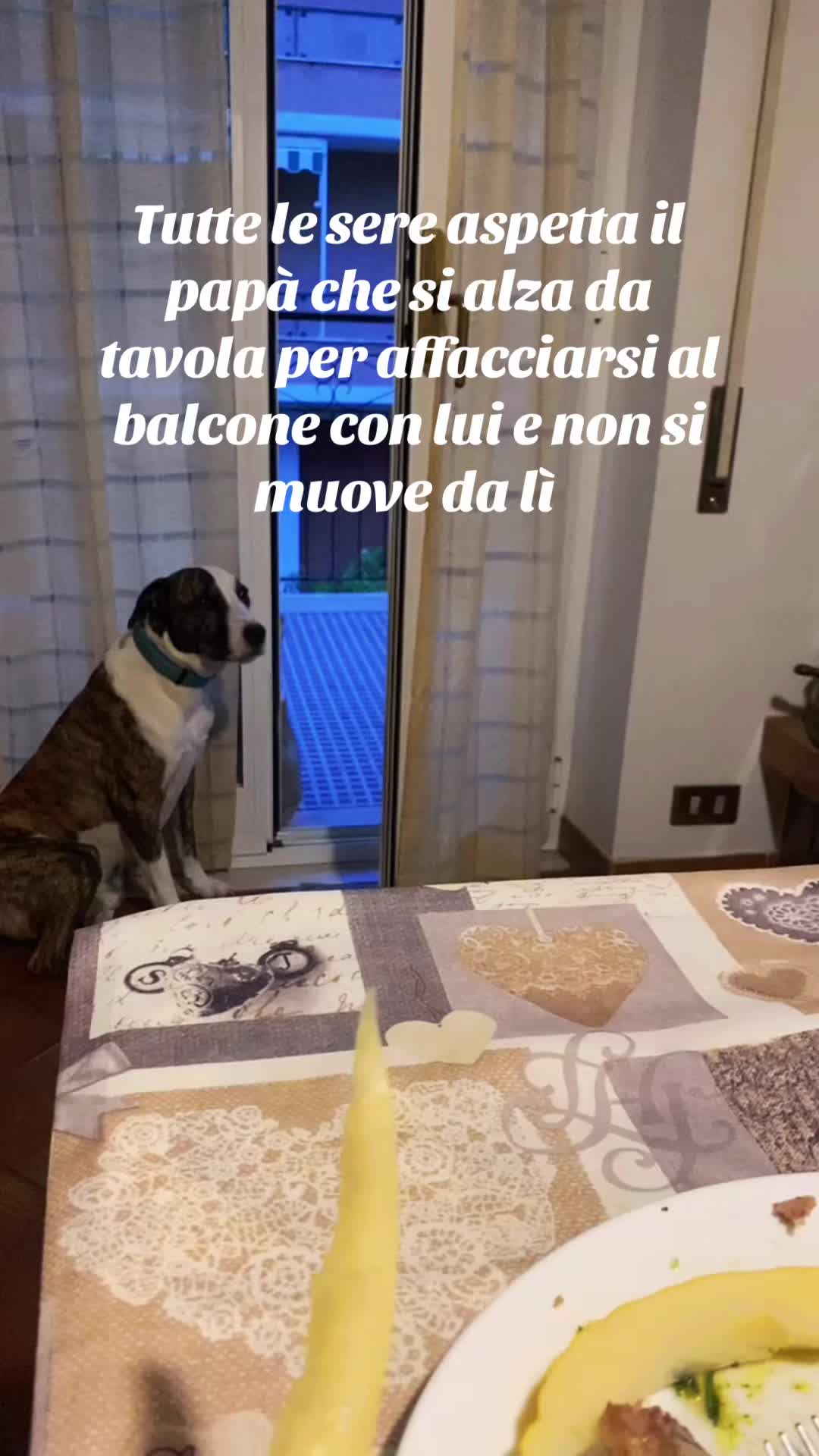 @Mariachiarasacchetti