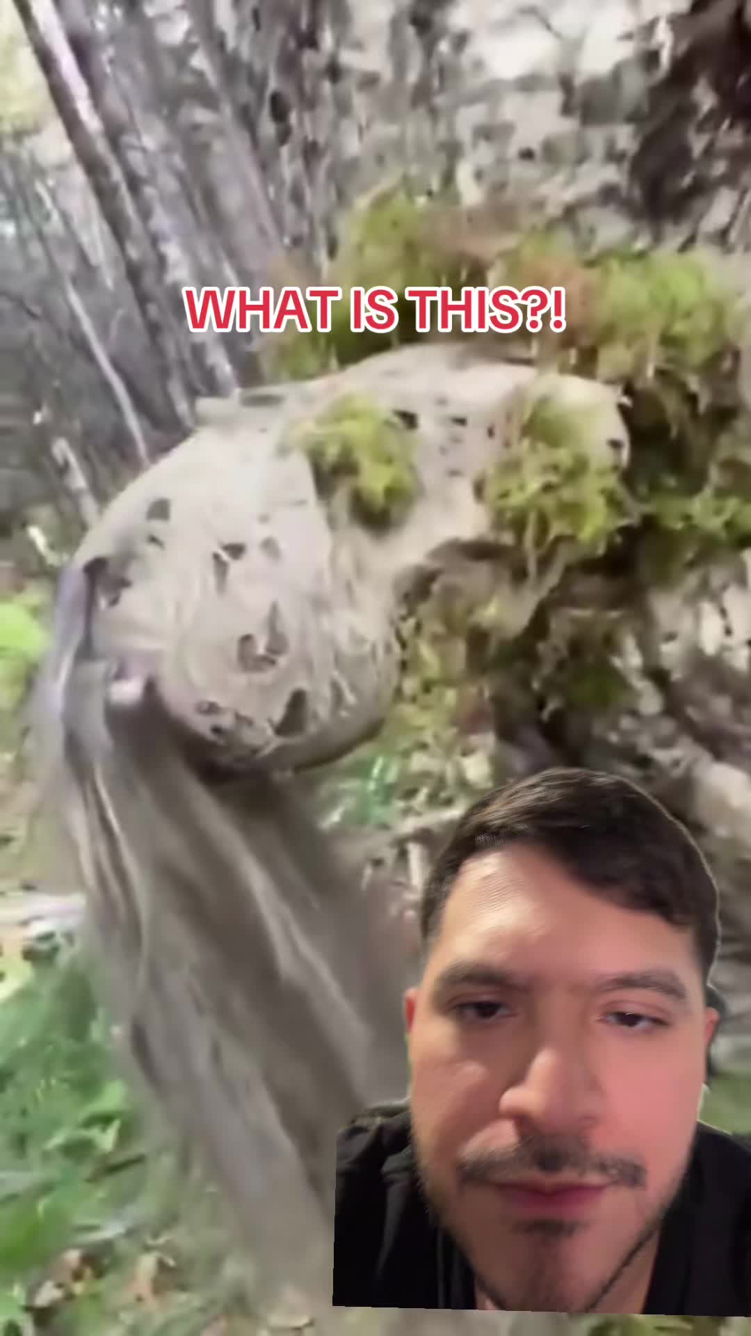 @Stevensaysstuff