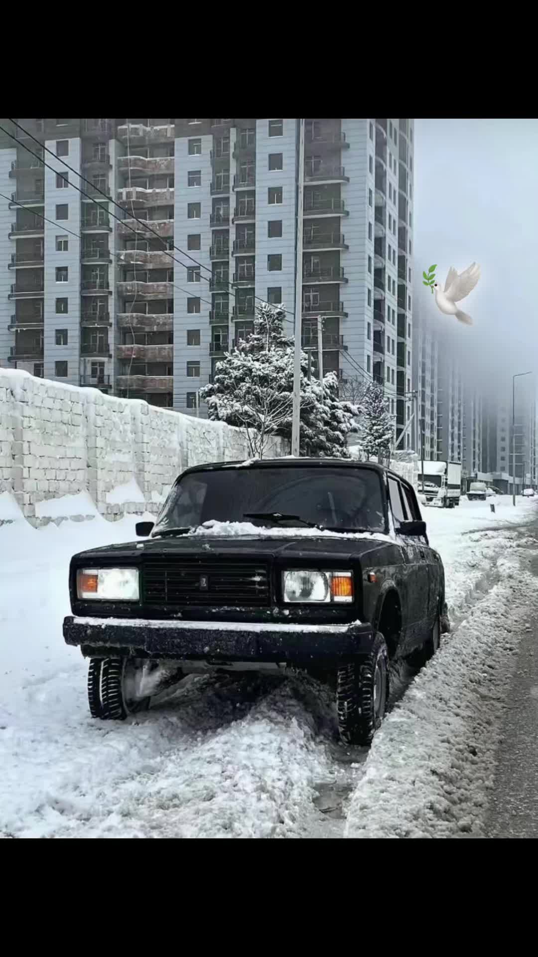 @🔗🕊️